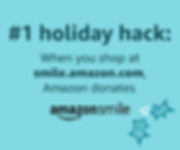 HOLAssets_v1_300x250_1._CB448870630_.png